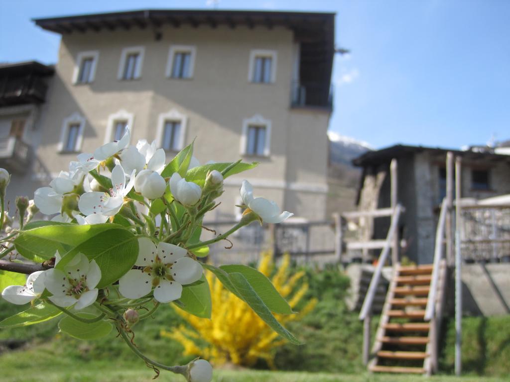 Agriturismo Antico Filare Bianzone Extérieur photo