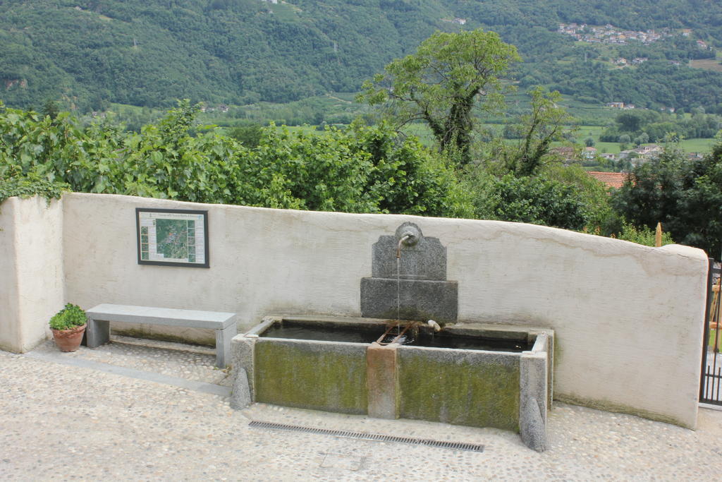 Agriturismo Antico Filare Bianzone Extérieur photo
